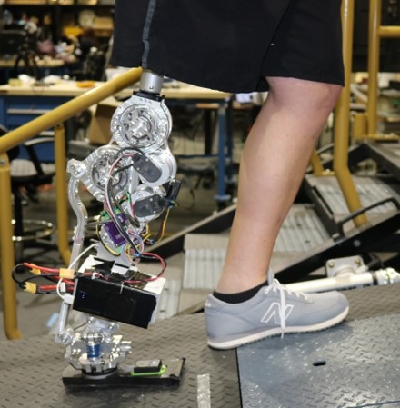 Control for Powered Knee and Ankle Prostheses